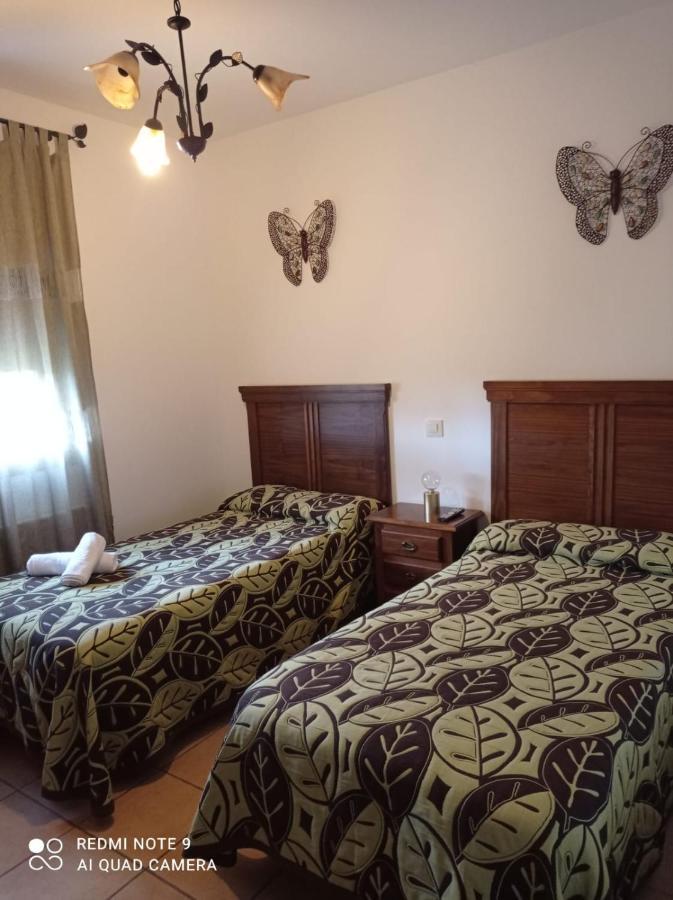 Hostal El Hayedo Cantalojas Extérieur photo